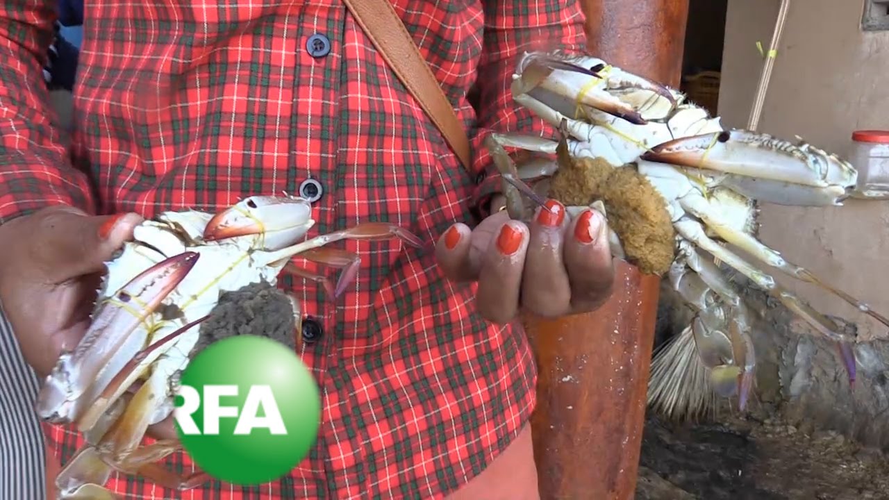 Crab Bank Deposits Preserve Cambodia&rsquo;s Fishing Industry