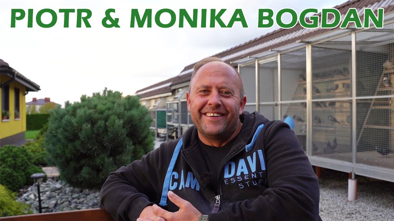 Piotr & Monika Bogdan - 0381 Gorlice | Jak zbudować funkcjonalny gołębnik?