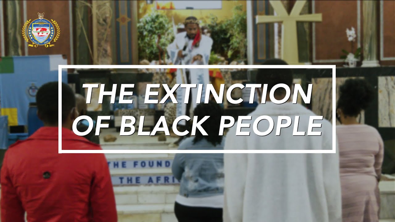 The Extinction of Black People By Imboni, uZwi-Lezwe Radebe