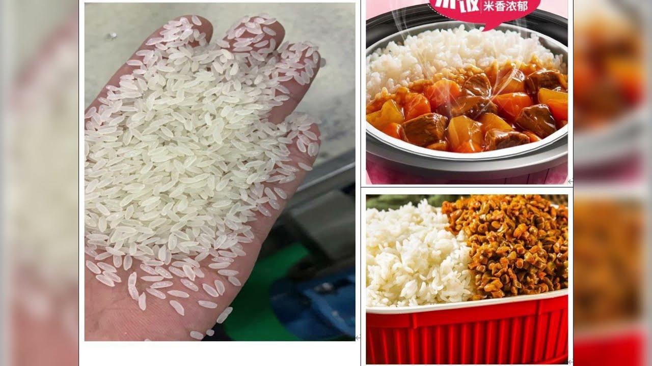 2022 Artificial rice manufacturing machine /How do I start an Artificial rice factory business?