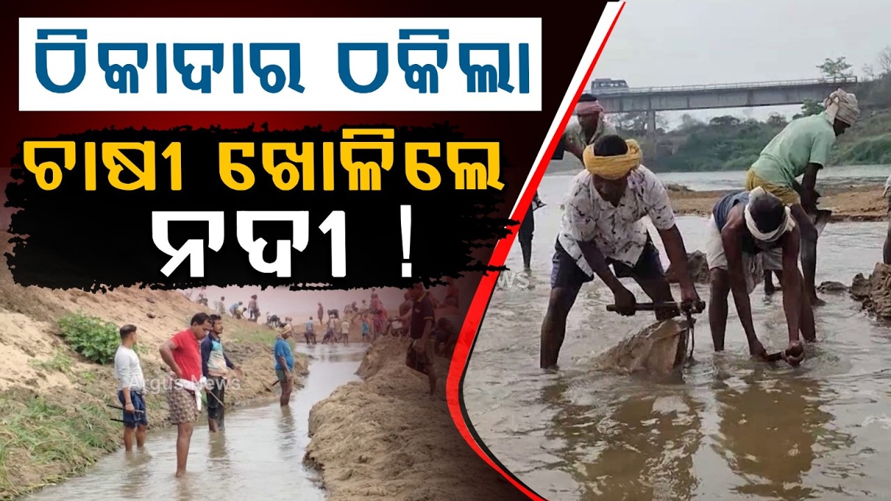 Farmers Dig Sand to Bring Water from Mahanadi as Ran River Dries Up | Argus News