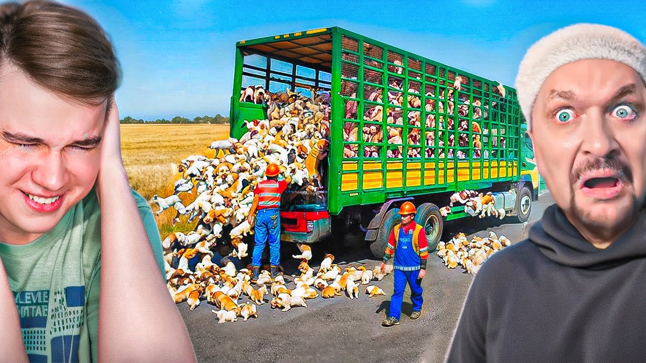 САМЫЕ НЕЛЕПЫЕ ОШИБКИ РАБОЧИХ СНЯТЫЕ НА КАМЕРУ! РЕАКЦИЯ
