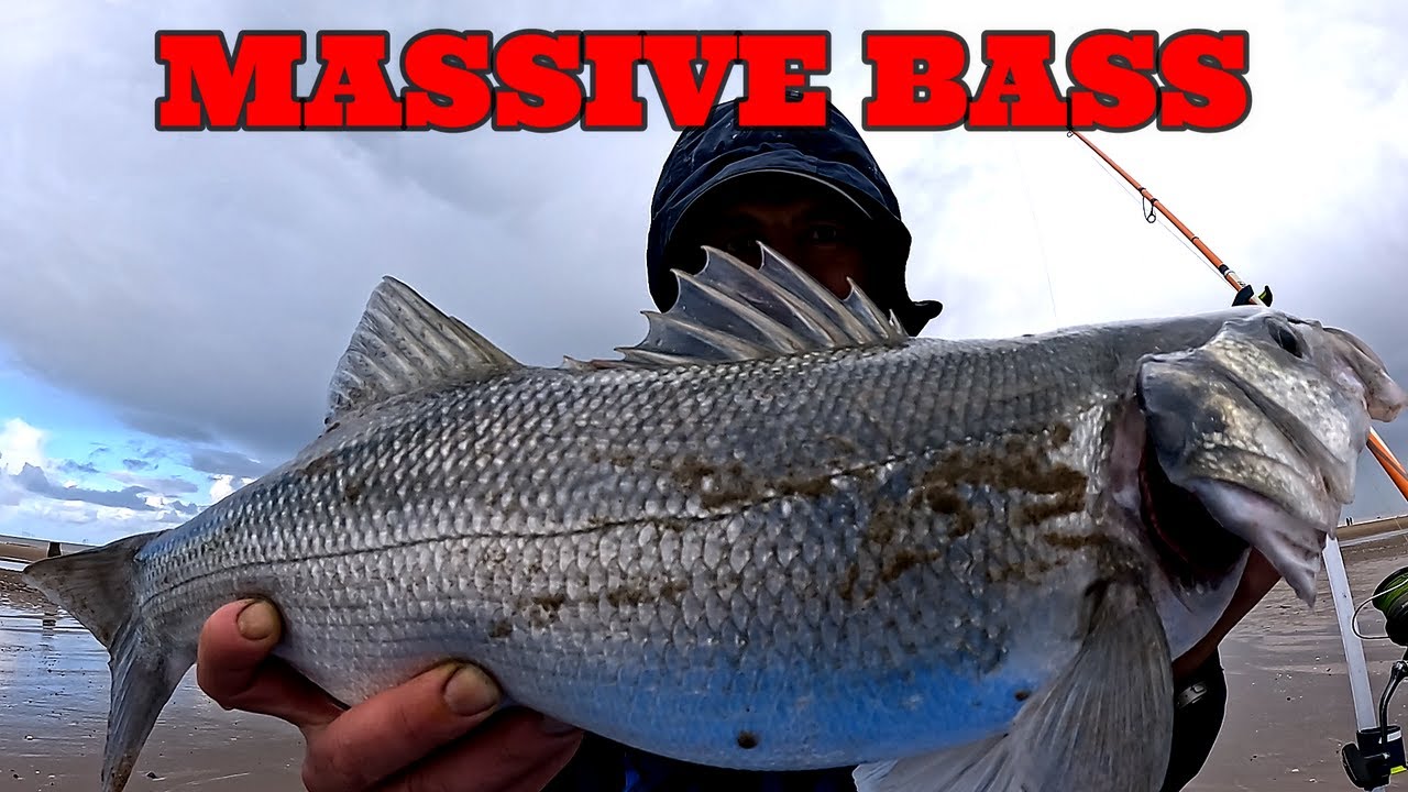 BASS A CAST IN NORTH WALES | CAN I FIND THE BIG BASS I'M AFTER ? SEA FISHING UK | MASTERFISHEMAN