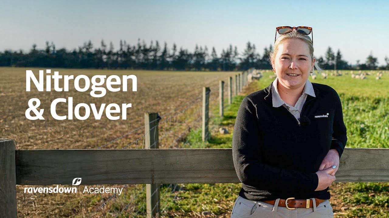 Nitrogen in Pastures: Balancing Clover Fixation and Fertiliser Use