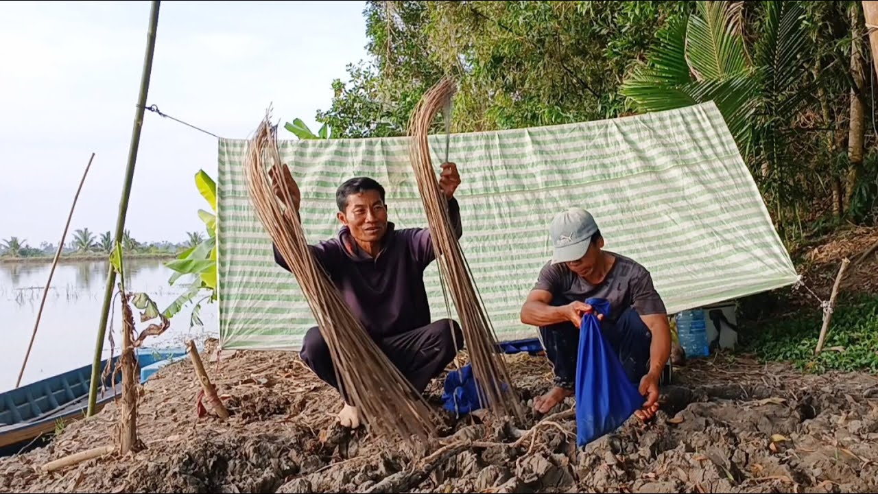 Tập17_ trải nghiệm cắm câu đêm ll cá lóc nướng trui làm sương sương cùng người bạn mới quen