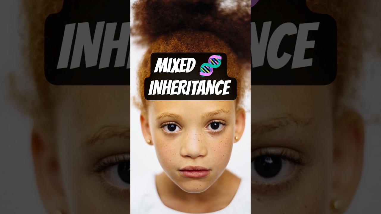 How Inheritance Works for Mixed-Race People #biology #biracial #genetics