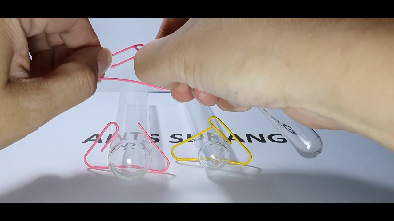 Ants Subang Ant Tip #02 - DIY Test Tube Holder