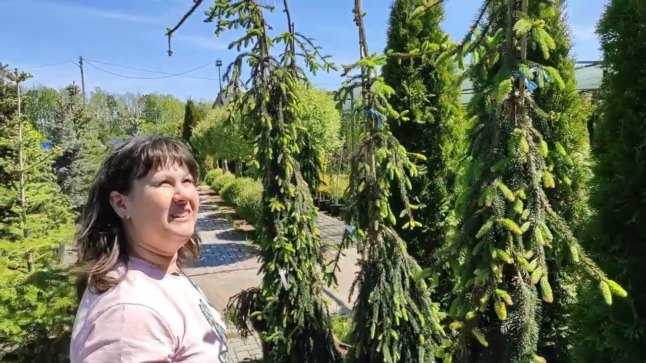Прогулка по садовому центру.Покупаем морскую гальку.