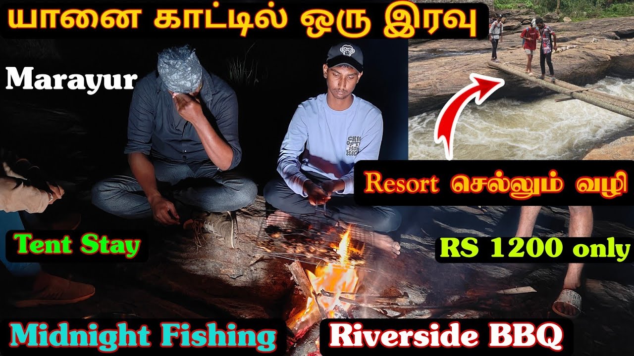 Marayur யானை காட்டில் tent stay|Midnight fishing|riverside BBQ at night|1200rs மட்டுமே