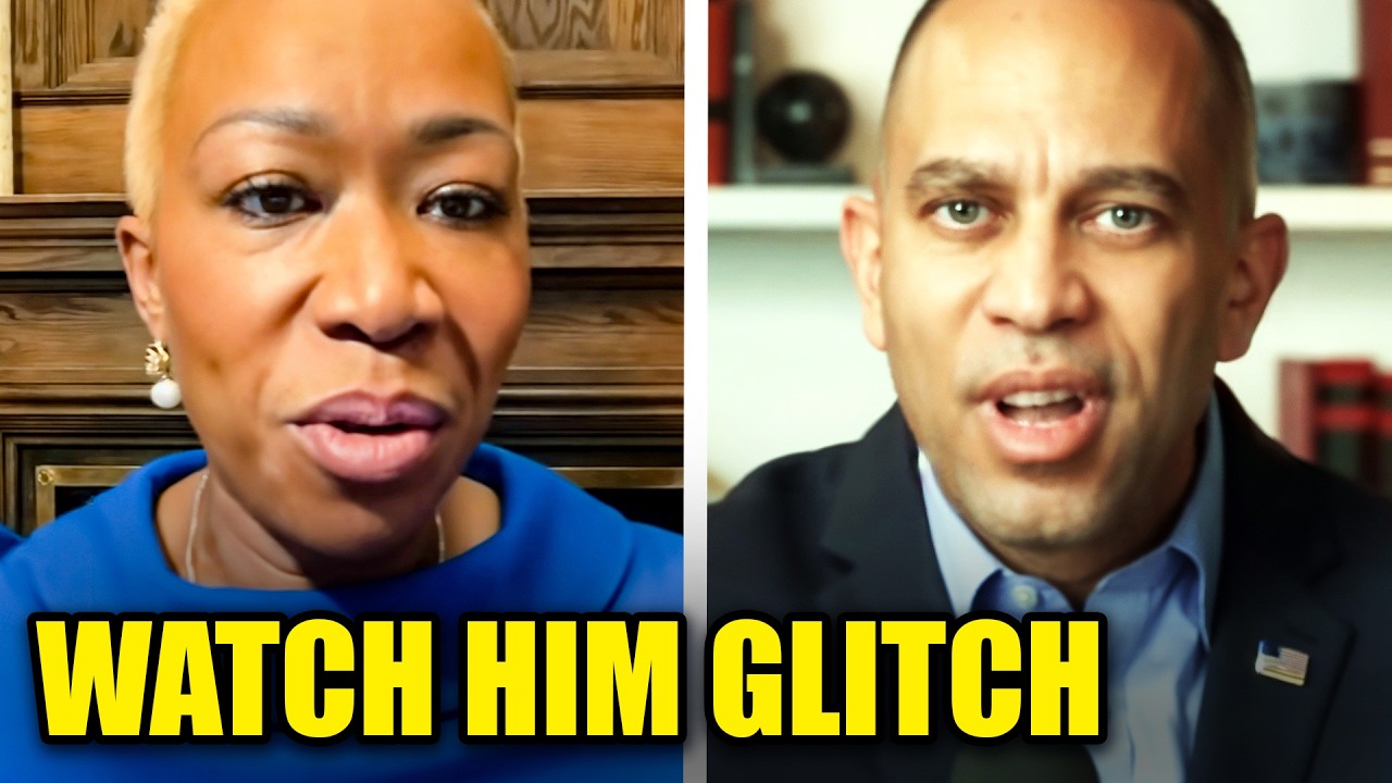 Jeffries STAMMERS Uncontrollably As Joy Reid DEMANDS ICE Solution
