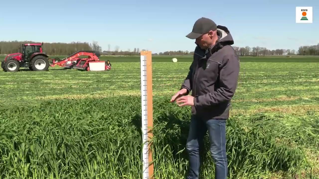 De oogst en voordelen van Snelle Lente Rogge in uw teeltplan - demo Makkinga april 2023