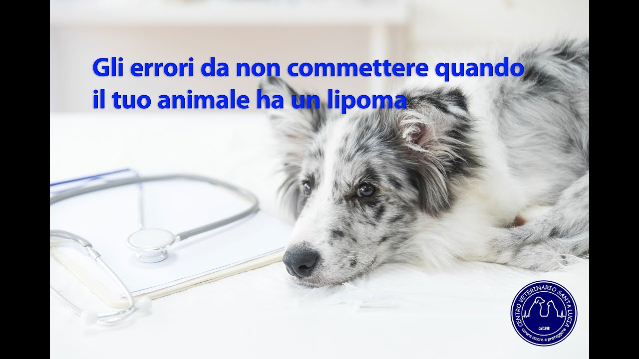 39 - Gli errori da non commettere quando il tuo animale ha un lipoma