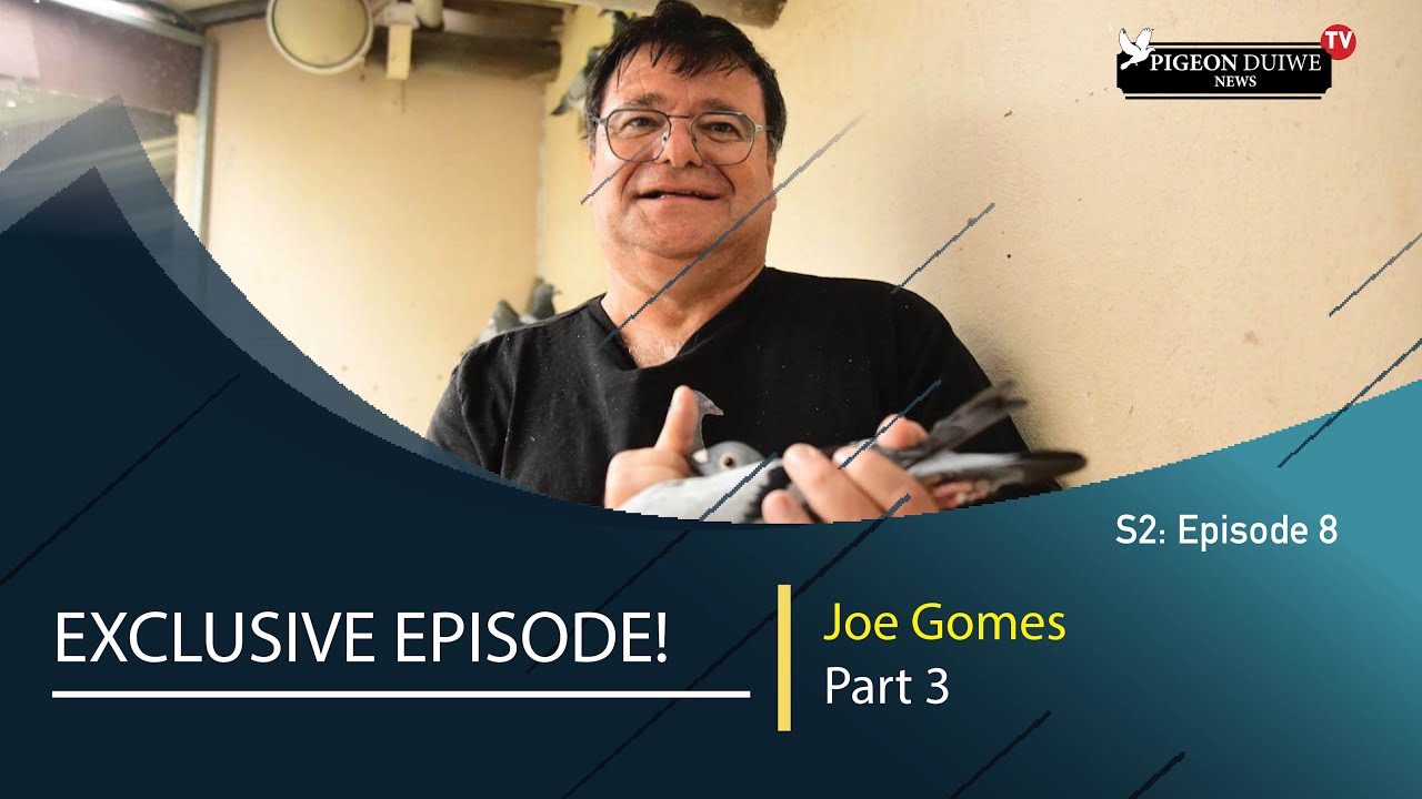 Pigeon Duiwe News TV- Joe Gomes - SA Top Pigeon Fancier. S2: E8 Part 3
