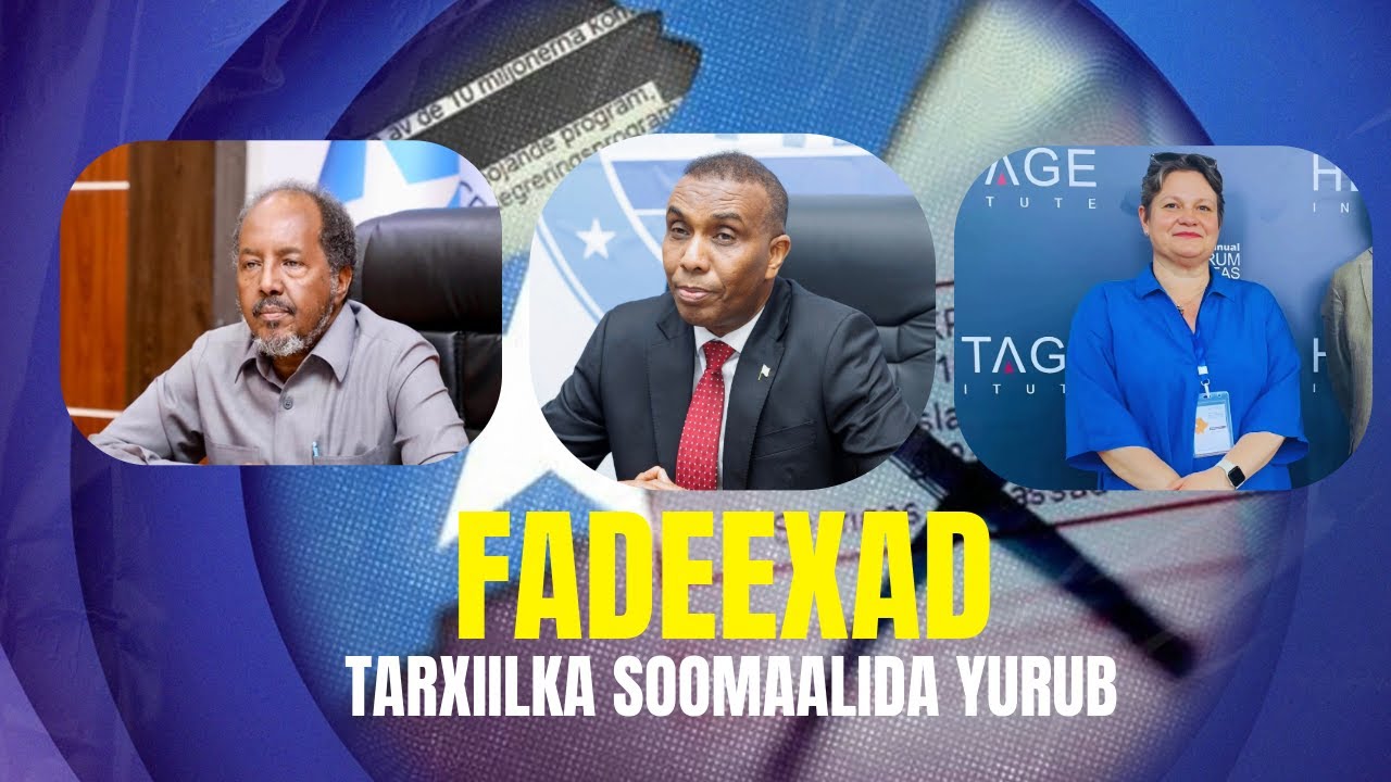 FADEEXADDA SWEDEN IYO SOMALIA: Lacagta lagu qaatay tarxiilka Soomaalida Yurub