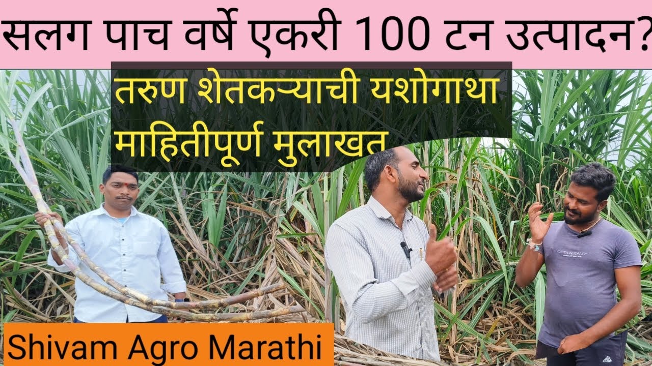 सलग पाच वर्षे एकरी 100 टन ऊस उत्पादन घेणारा तरुण#यशोगाथा #farming #agriculture #sugarcane #ऊस #जैविक