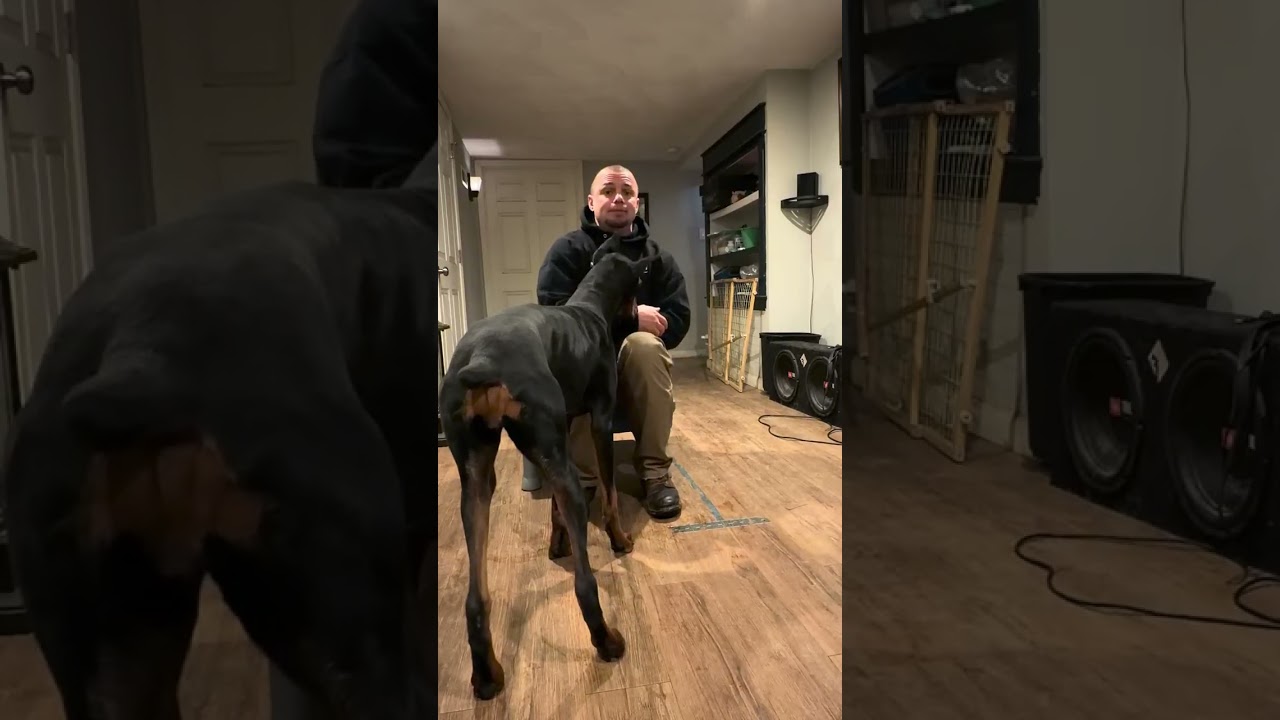 Sadie, what to do when she doesn’t do what you want her to do