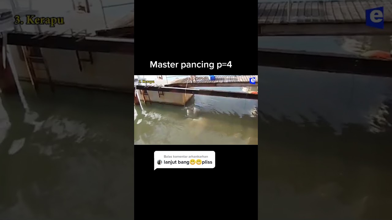 kerapu Termhal di dunia