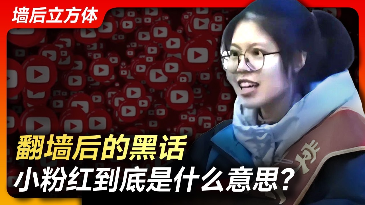 翻墙后的黑话，小粉红到底是什么意思？丨小粉红丨维尼熊丨8964丨支那丨5毛丨1450