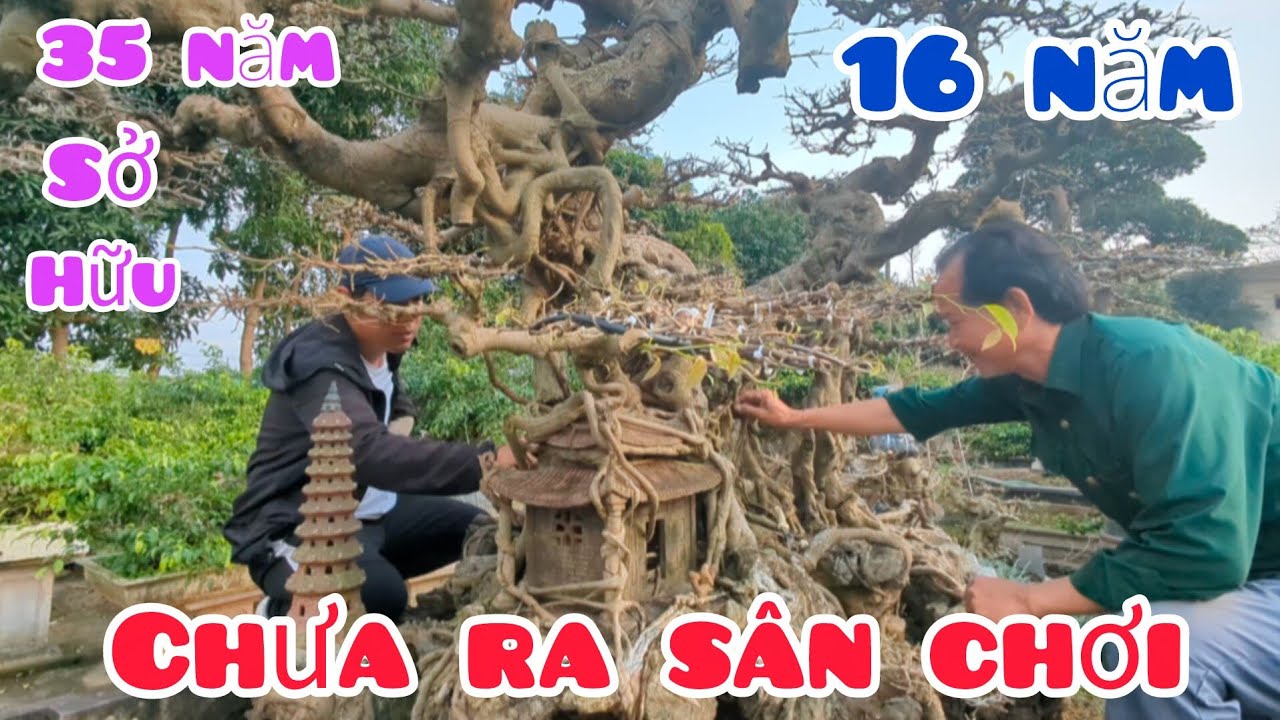 Cách đây 16 năm đã đi triển lãm lớn sau 16 năm vắng bóng giờ đã trở thành một TP đặc sắc của NN TT