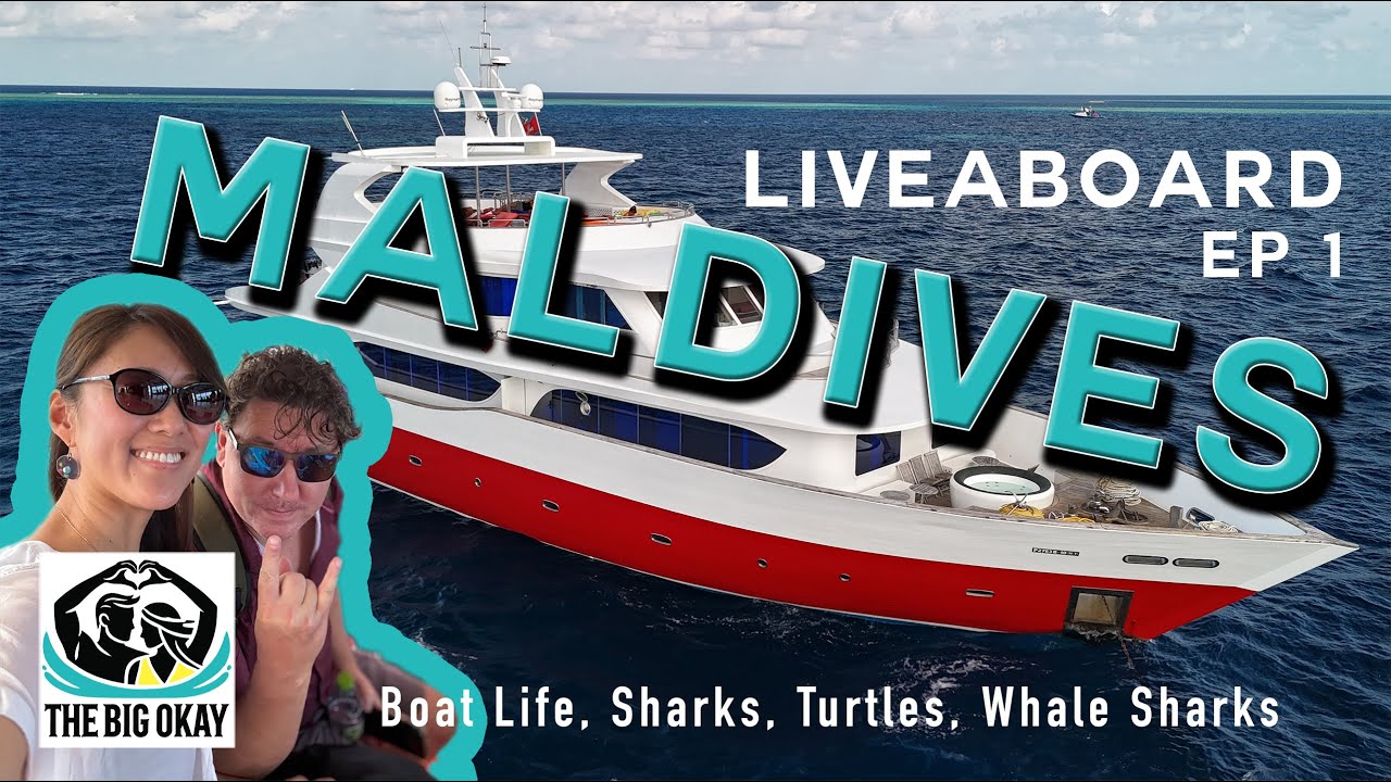 Dive and Cruise for 8 days! Liveaboard in the Maldives! | ダイビング三昧の8日間！モルディブ夢のリブアボード・船上泊！[Ep.1]