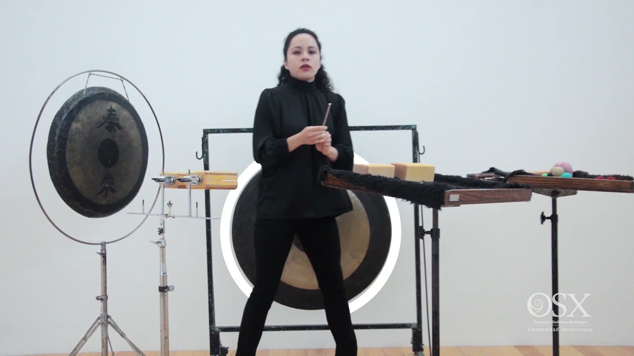 Percusiones Idiófonos: Historia de la Música y la Orquesta