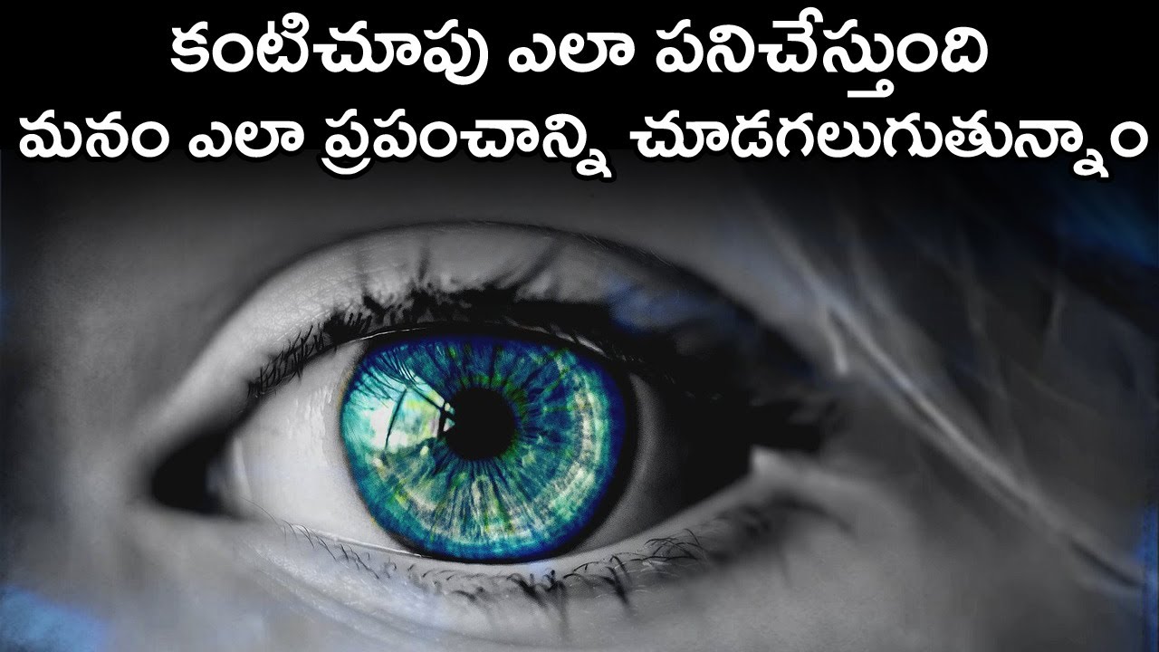 How Eye Works Explained In Telugu | The Eye Anatomy