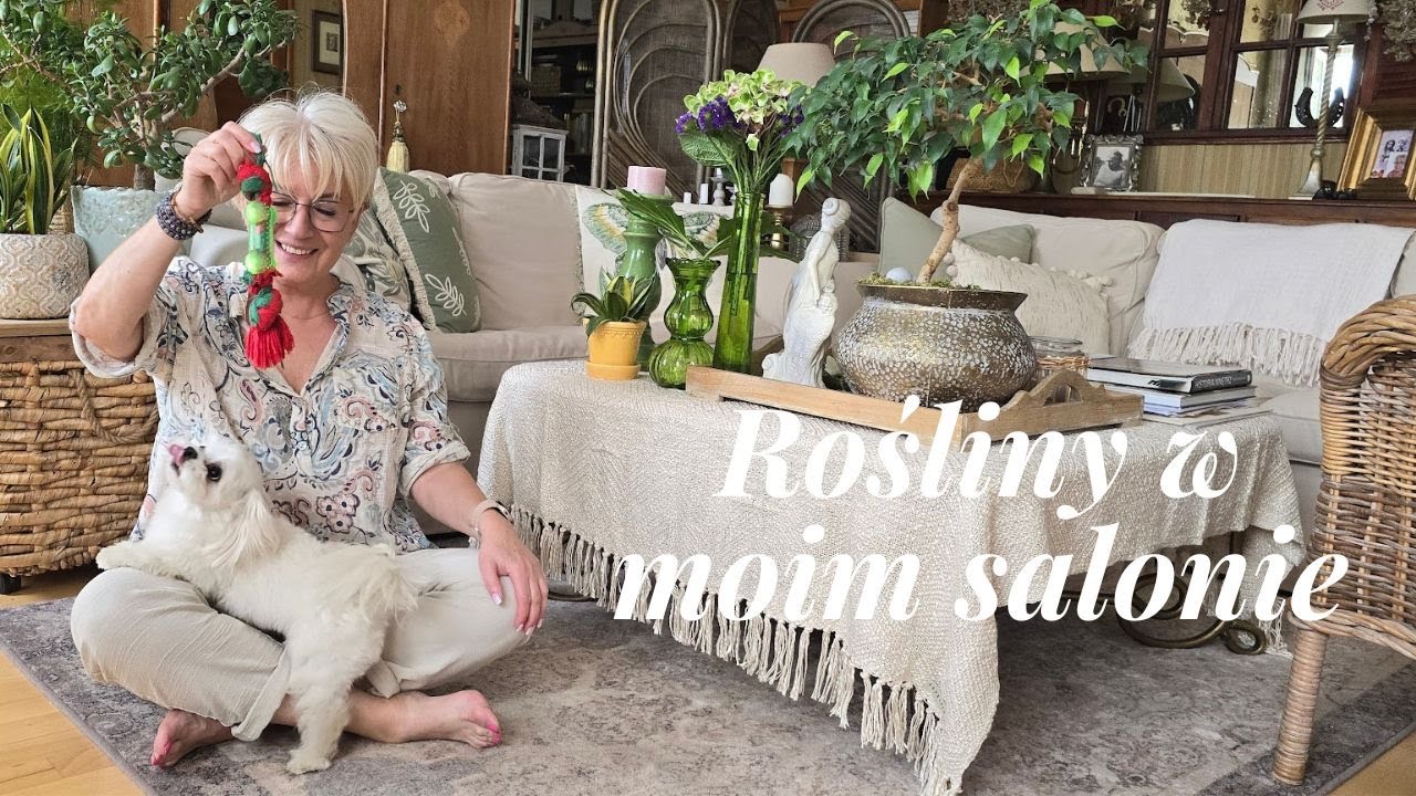 ROŚLINY W MOIM SALONIE I KUCHNI /[628]