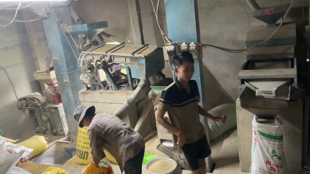 Cùng mẹ lao động vất vả
