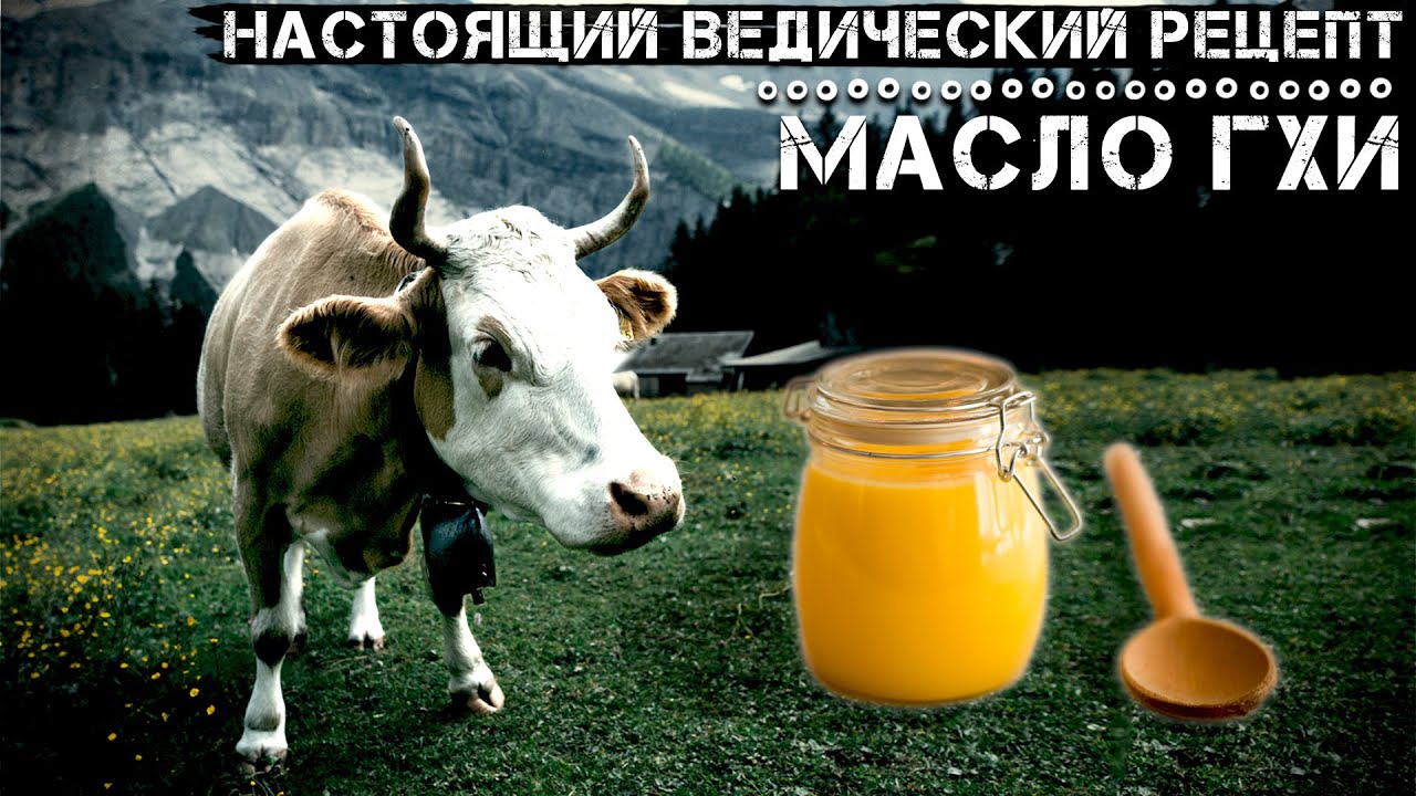 МАСЛО ГХИ: полный традиционный рецепт Гхи из Аюрведы // Жидкое золото ведической культуры