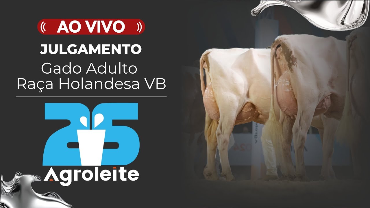 Agroleite 2025 - Julgamento do Gado Adulto da Raça Holandesa Vermelho e Branco