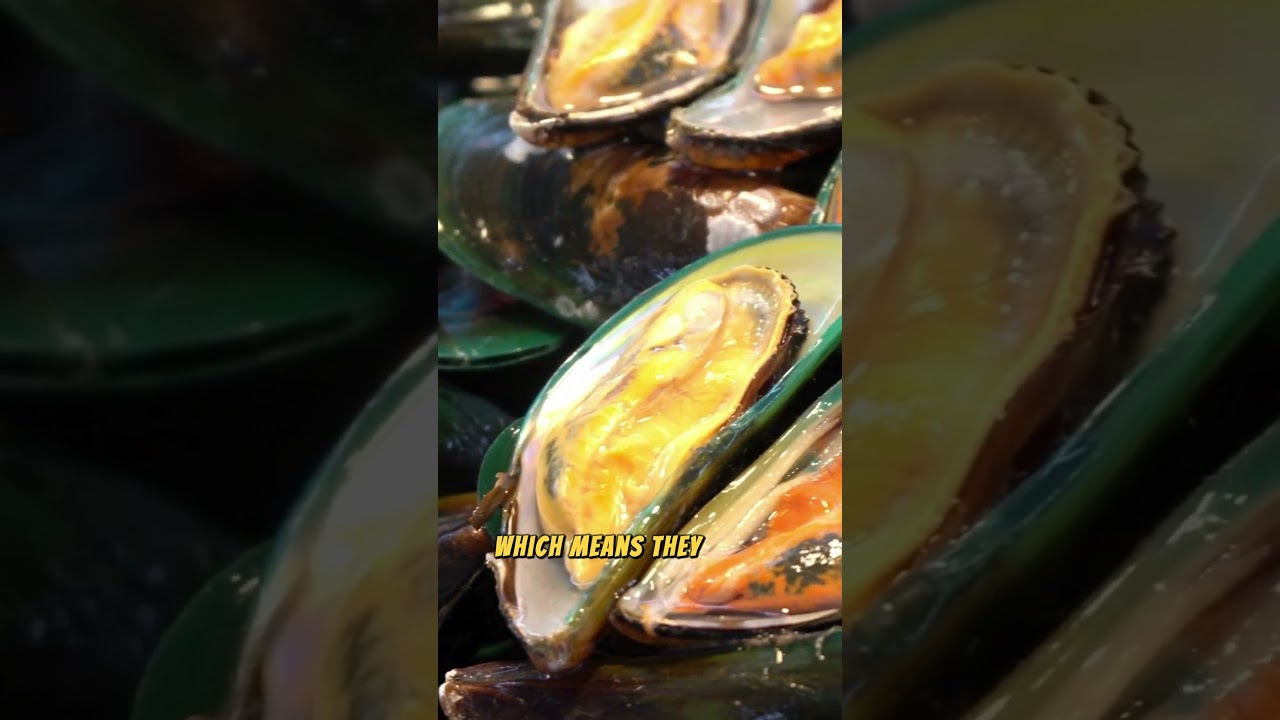 Mussels: The Versatile and Delicious Bivalve