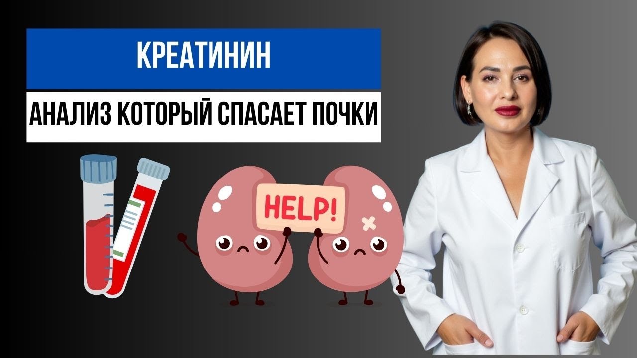 Как проверить почки? КРЕАТИНИН: анализ крови и его норма