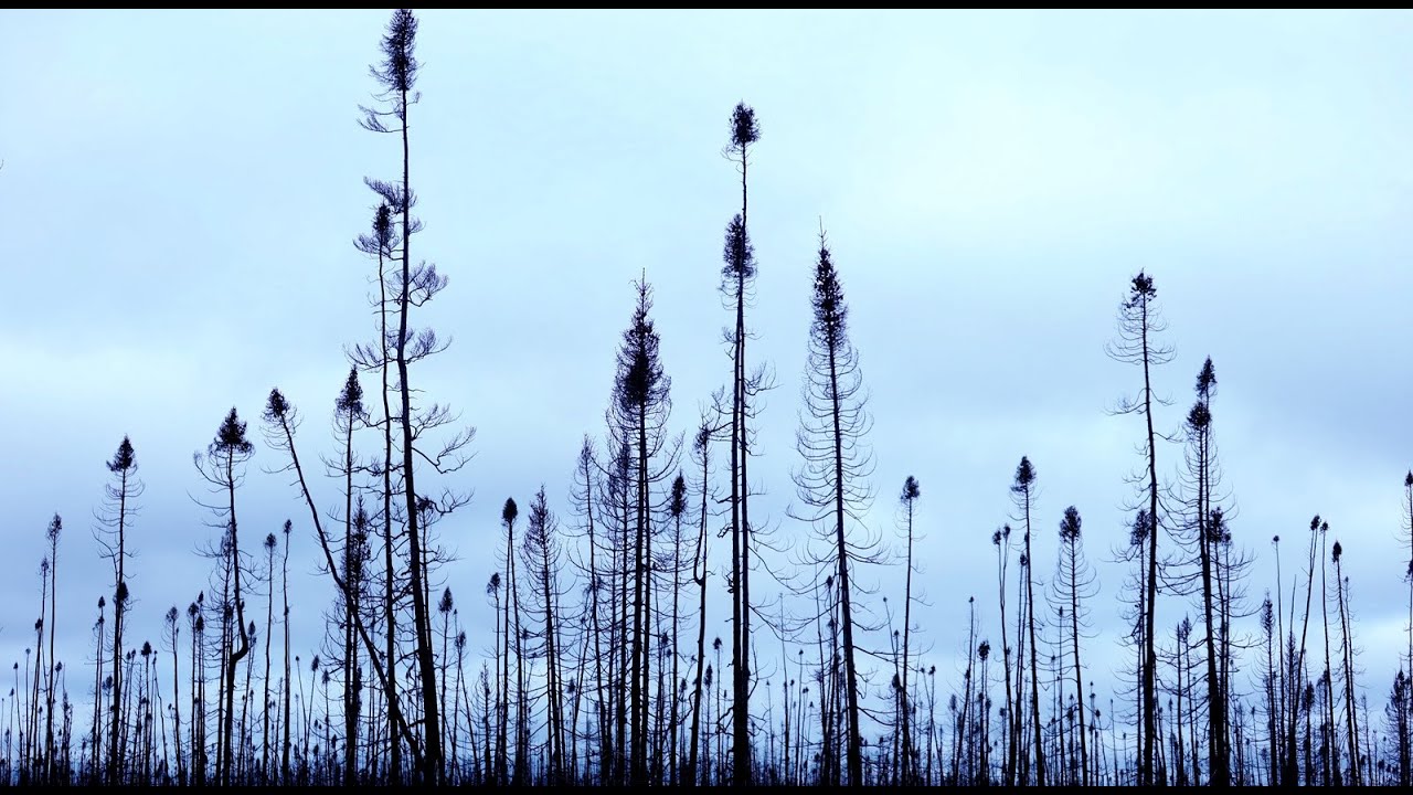 Eeyou Istchee Baie-James 2/2