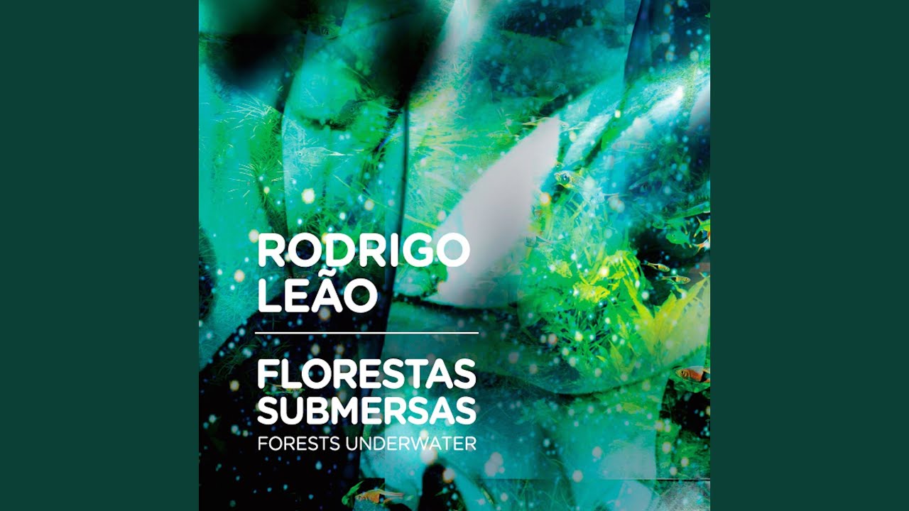 Florestas Submersas