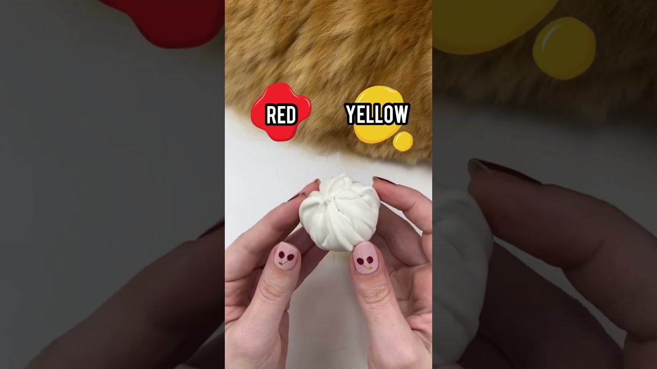 Guess the COLOR Slime Dumplings