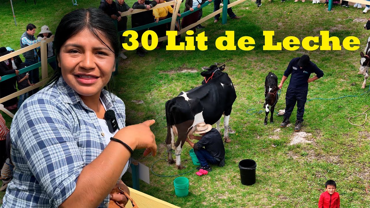 Los mejores ejemplares de ganado en Saraguro-Loja 🐮🐂