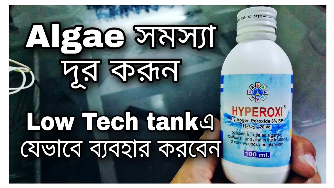 How To Remove Algae From Your Planted Aquarium || How to  Use Hydrogen Peroxide In Low Tech tank