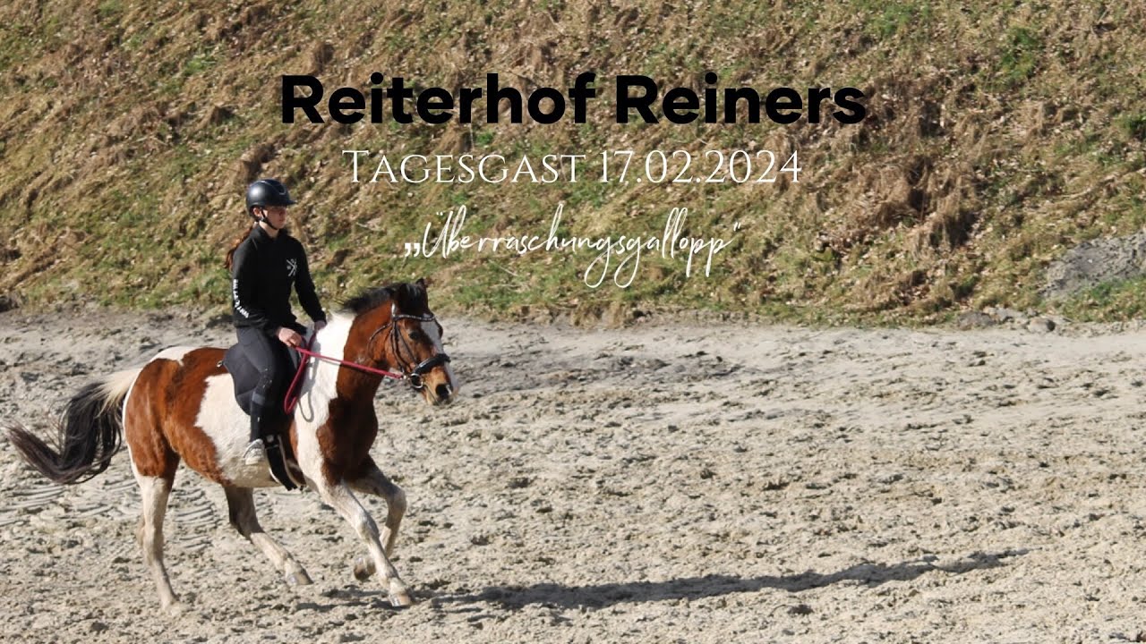 Reiterhof Reiners | Tagesgast 17.02.2024 | „Überraschungsgallopp“