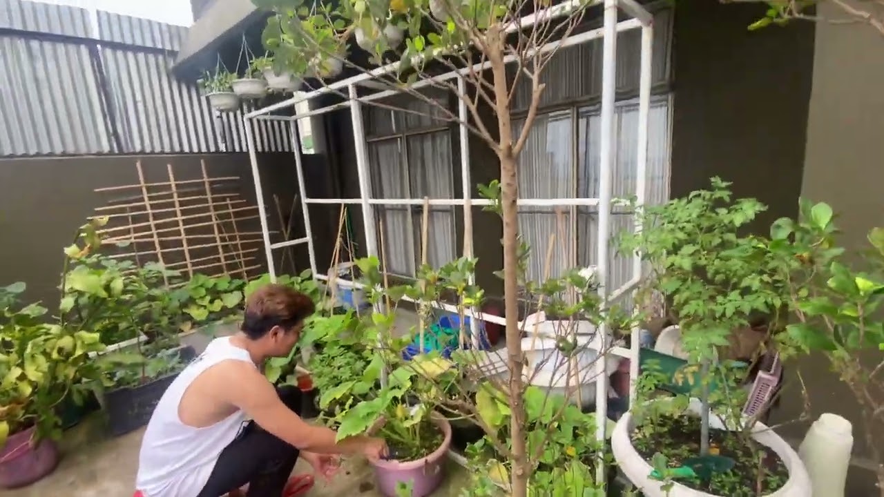 Goosh Vangchhia’s patio ka varanda huan lo en ru