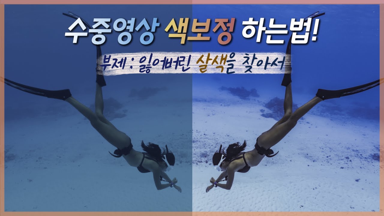 #55 [수중 영상 색보정] 고프로로 촬영한 다이빙 영상 색 되살리기! 초급편