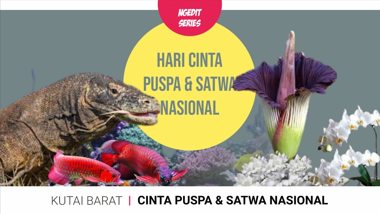 VOICE OVER | Campaign Hari Cinta Puspa & Satwa Nasional 2020