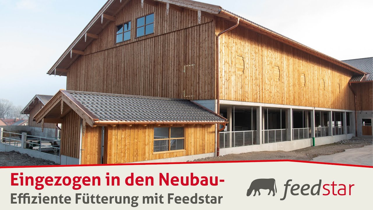 Folge 4 | Vom Anbindestall zum Laufstall mit Futterband | fertigen Stall mit Futterband bezogen