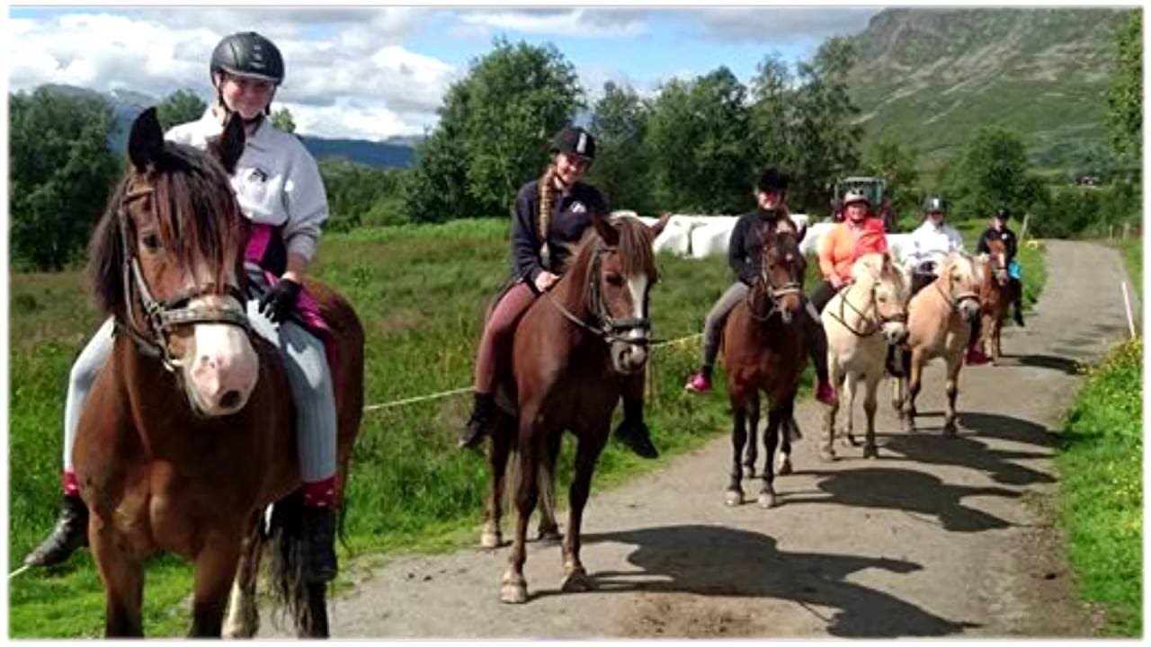 Skogshorn Rideleir uke 28 2016