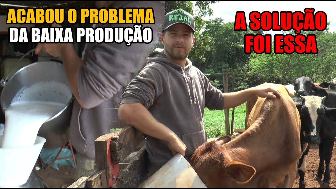 MESMO COM POUCO GADO, ELE  LUCRA DOBRADO