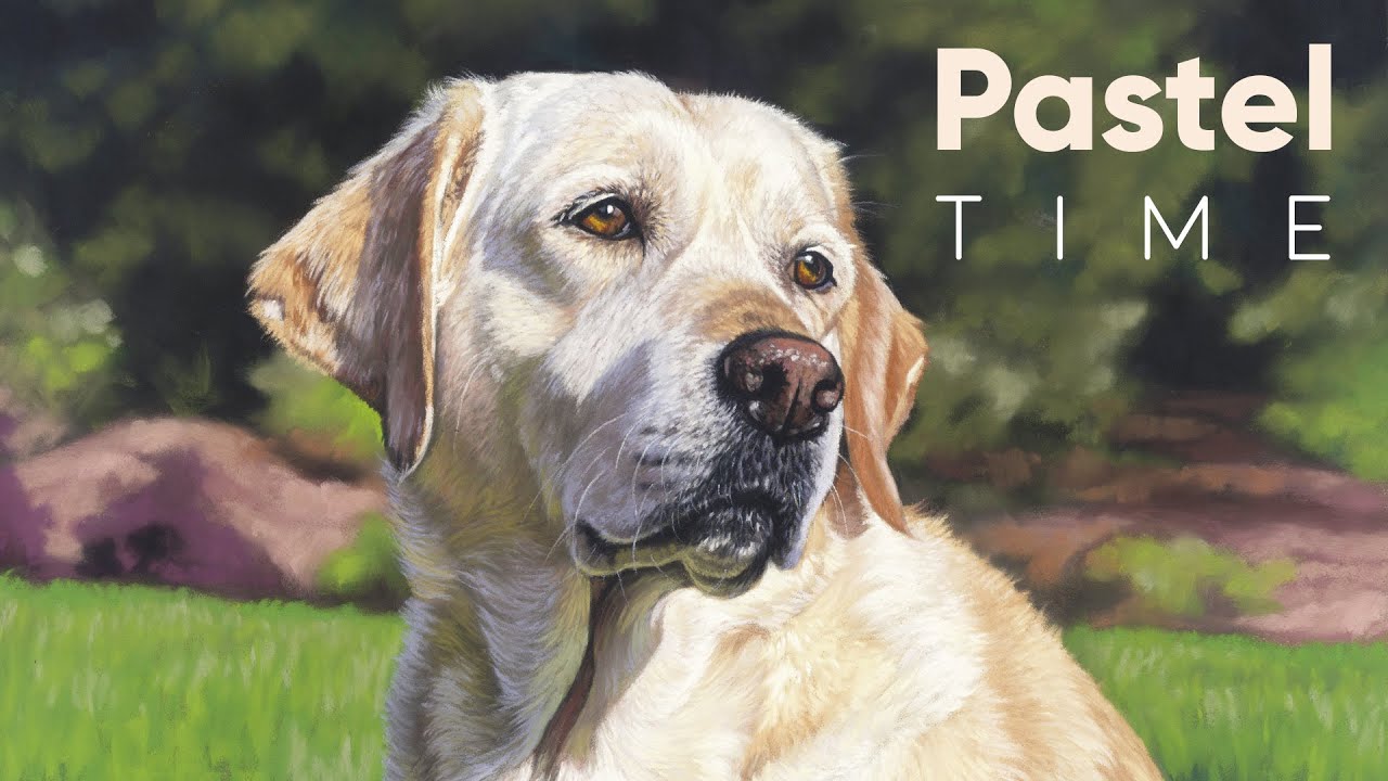 Cream Labrador Pet Portrait in Soft Pastel - Timelapse