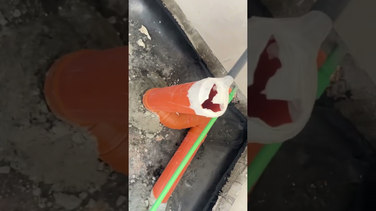 ١٠ نوفمبر، ٢٠٢٥