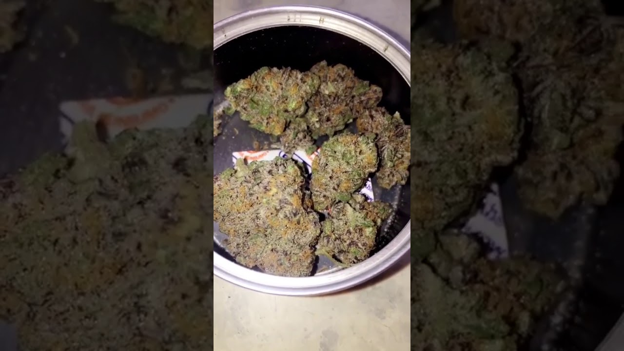 Spacemonkeymeds wicked clementine