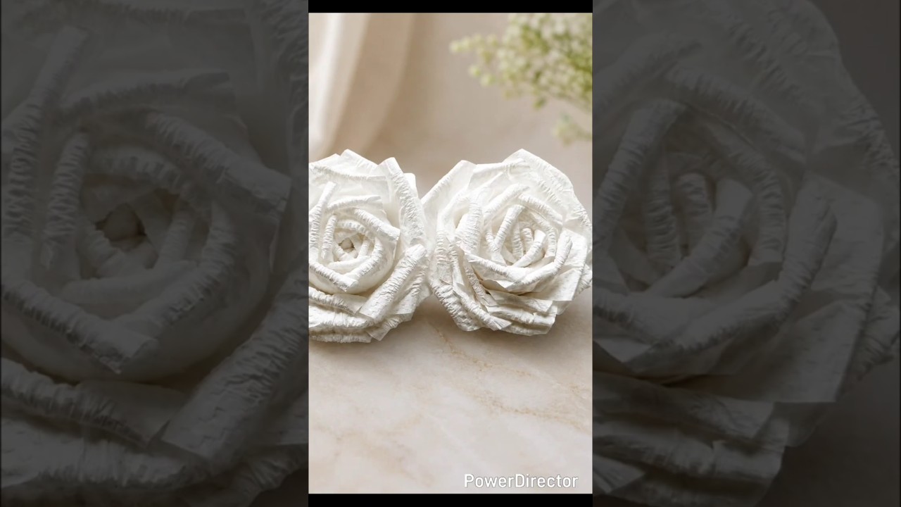 DIY how to make simple tissue paper rose #craft #shorts #shortsfeed #aesthetic #flower #rose #viral
