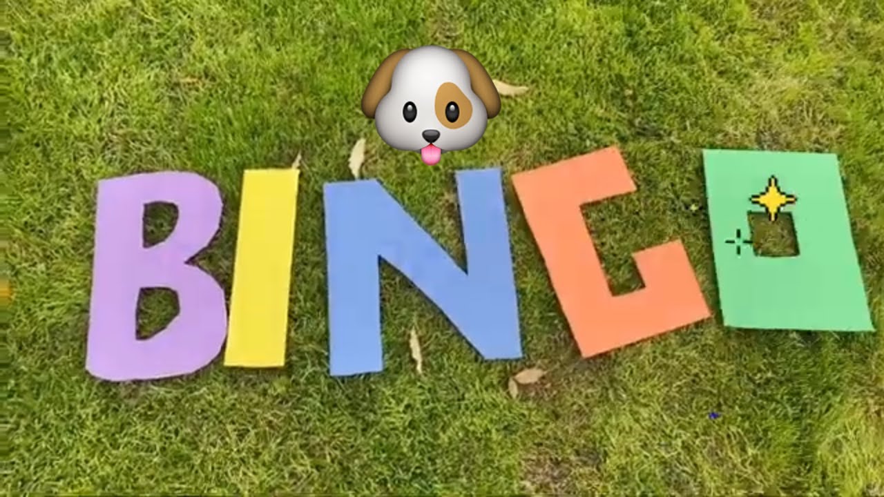 Ameli and Larimar play with the Bingo song|kids songs| learning