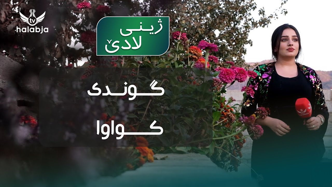 ژینی لادێ - گوندی کواوا